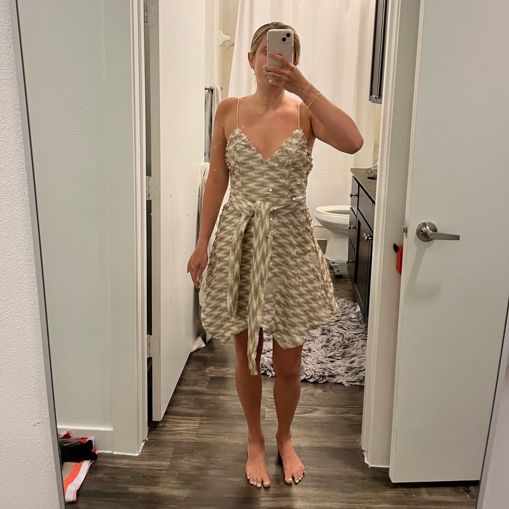 NBD Sequin Dress